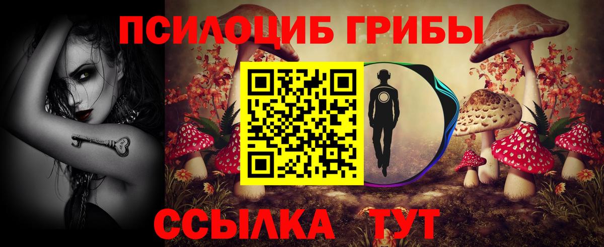 Медногорск  Галлюциногенные грибы прущие грибы  цена наркотик  Вход с VPN 